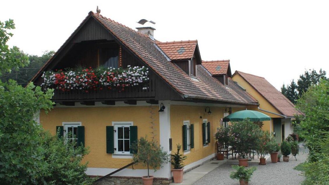 Ein charmantes Haus mit einem hellgelben Anstrich und einem dunklen Dach. Der Eingang ist von Pflanzen und einem grünen Sonnenschirm umgeben. | © Weinbau Silberschneider