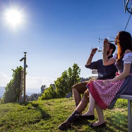 Weinkulturgarten Eichberg 6 | © Familie Lieleg | Kollerhof am Eichberg