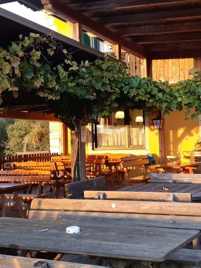 A cozy terrace with wooden tables and benches. Green grapevines adorn the space and create an inviting atmosphere. | © Weinstube Baumann