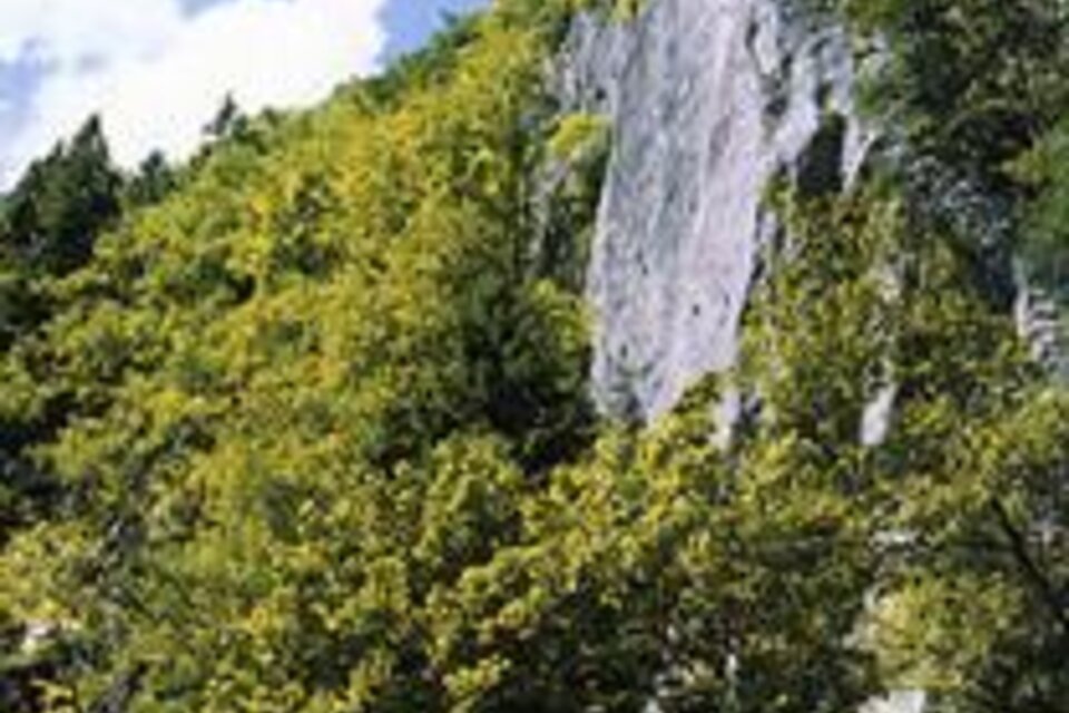 Weizklamm - Impression #1 | © Oststeiermark Tourismus