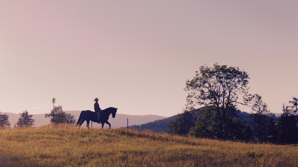 Well Ranch: Jurtenurlaub in der Steiermark in Edelschrott