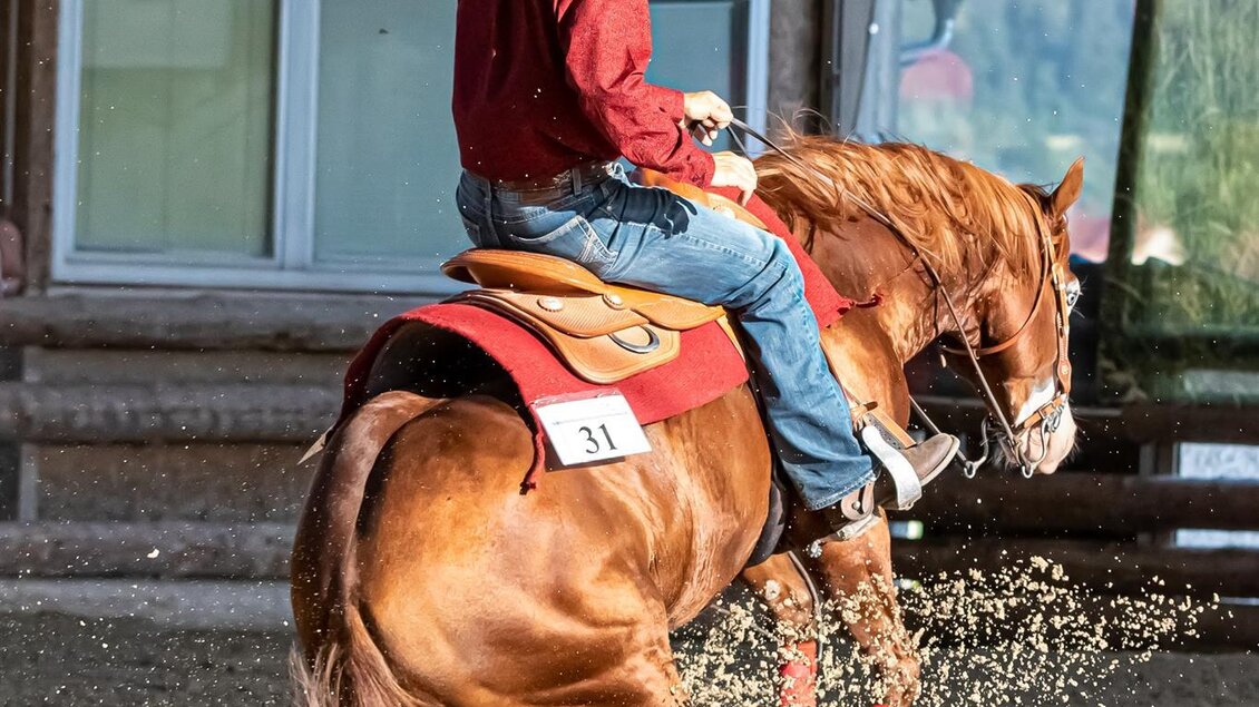 Ein Reiter in einem roten Hemd sitzt auf einem braunen Pferd in einer Reithalle. Der Boden ist sandig, und das Pferd wirbelt Staub auf. | © Westernreithof Stricker