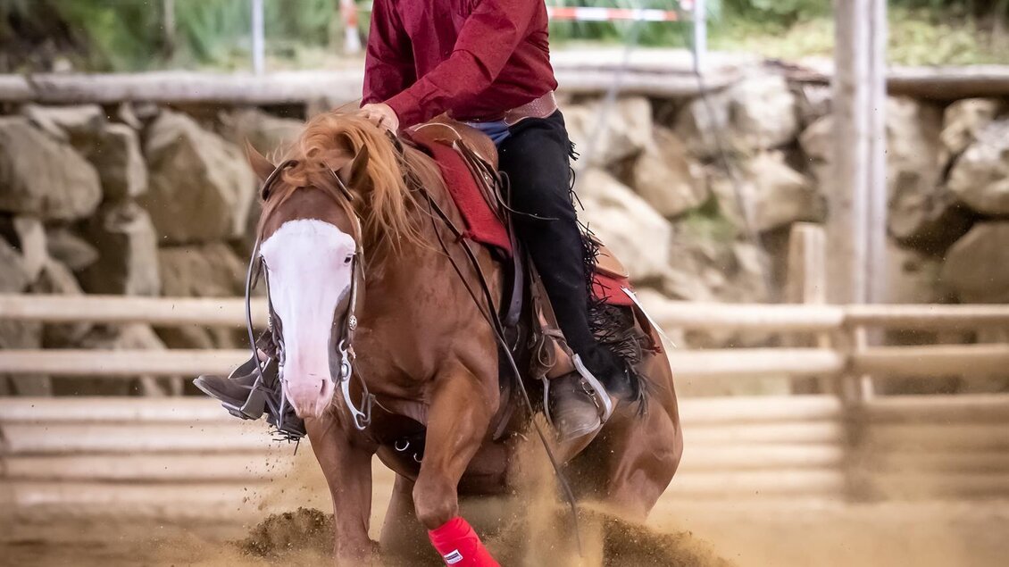 Ein Reiter in einem roten Hemd sitzt auf einem Pferd in der Reitarena. Der Sand wirbelt um das Pferd, während es sich schnell bewegt. | © Westernreithof Stricker