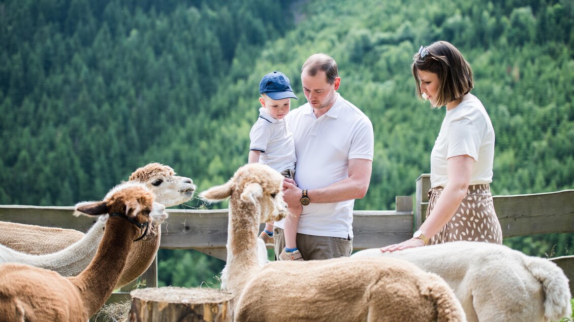 Eine Familie steht auf einer Wiese und interagiert mit Alpakas. Im Hintergrund sieht man bewaldete Hügel. | © Anita Fössl