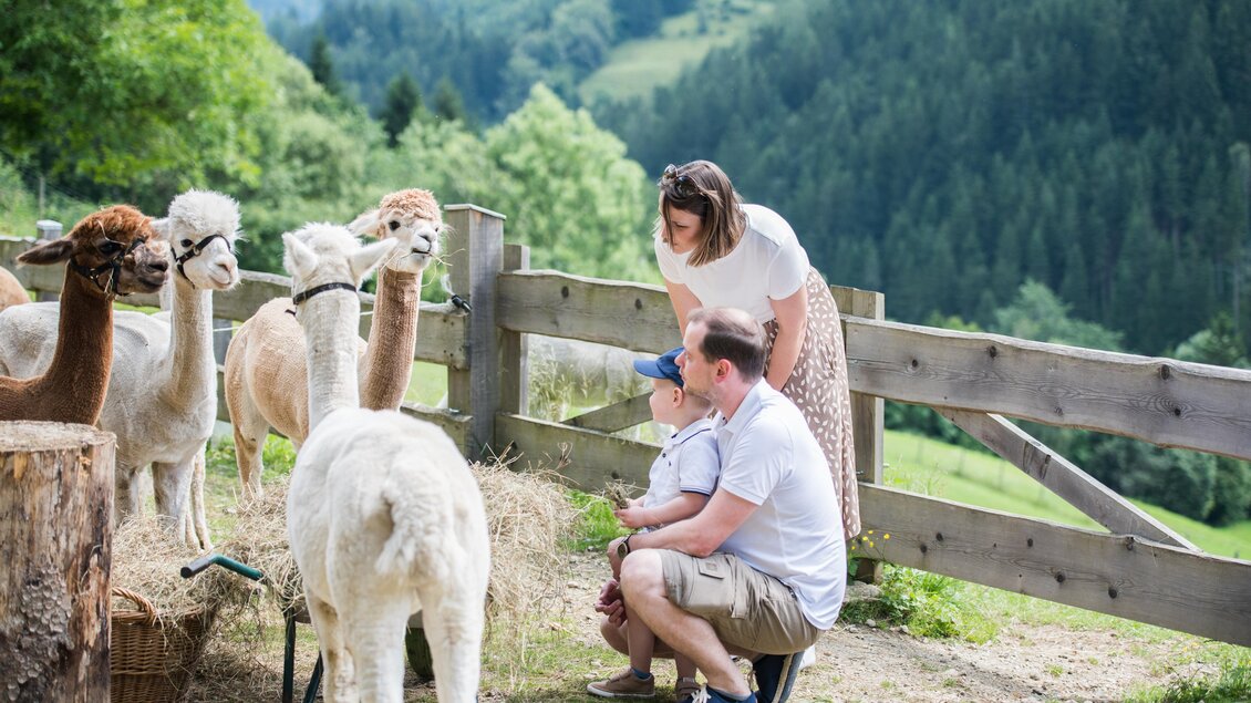 Eine Familie interagiert mit Alpakas auf einem Bauernhof. Im Hintergrund sind grüne Hügel und Bäume zu sehen. | © Anita Fössl