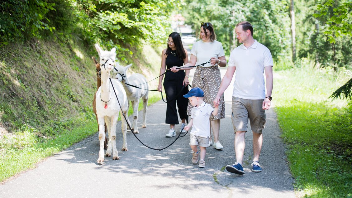 Eine Familie spaziert mit einem Lama auf einem schmalen Weg. Die Sonne scheint und die Umgebung ist grün und einladend. | © Anita Fössl