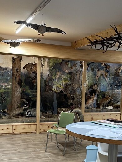 Wildtier & Lebensraum | Julia Puganigg | © Tourismusverband Murau