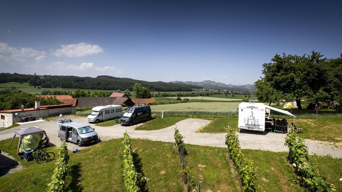 Eine malerische Aussicht auf ein Weinfeld mit Wohnmobilen und einem Verkaufsstand. Die Landschaft ist grün und der Himmel ist klar und blau. | © Winzerhof Strablegg