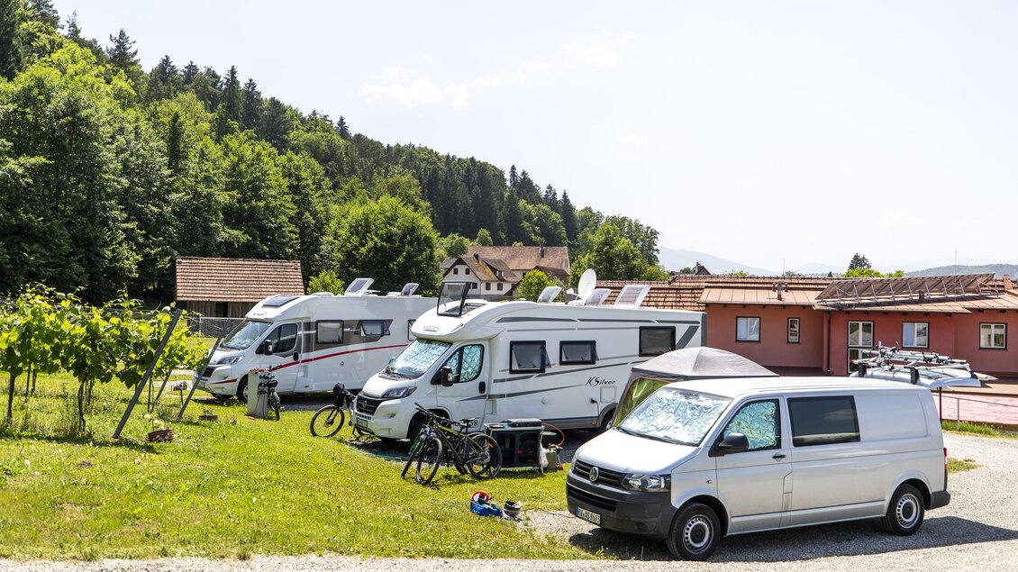 Ein Campingplatz mit mehreren Wohnmobilen auf einer grünen Wiese. Im Hintergrund sind Bäume und einige Gebäude zu sehen. | © Winzerhof Strablegg