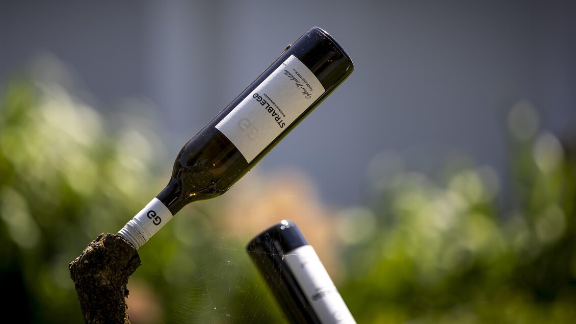 Zwei Weinflaschen stehen in einem Weinberg. Eine Flasche ist im Boden verankert, während die andere schräg ausgerichtet ist. | © Winzerhof Strablegg