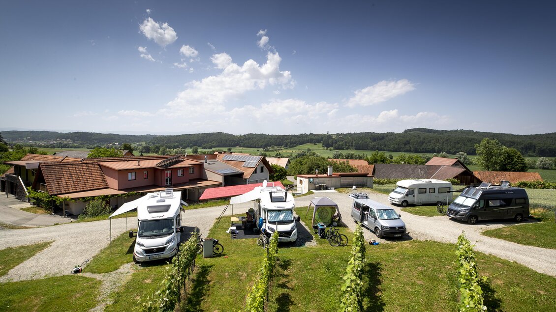 Ein malerischer Campingplatz mit Wohnmobilen inmitten von Weinbergen. Die Umgebung ist grün und ländlich, mit einem klaren Himmel und sanften Hügeln im Hintergrund. | © Winzerhof Strablegg
