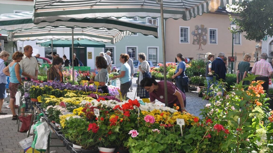 Der lebhafte Wochenmarkt mit vielen bunten Ständen und farbenfrohen Blumen im Sommer. Besucher durchstöbern das Angebot zwischen den verschiedenen Ständen mit lokalen Produkten. | © Stadtgemeinde Bad Aussee