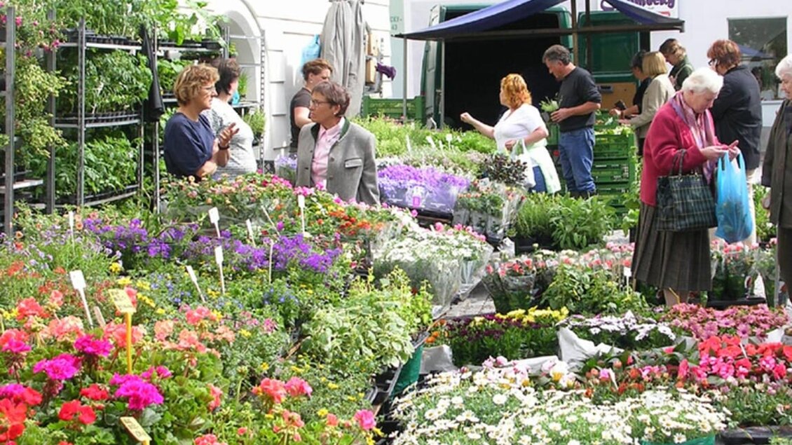 Ein buntes Blumenmeer beim Wochenmarkt am Chlumeckyplatz in Bad Aussee. Neugierige Besucher bestaunen die vielfältige Auswahl und greifen zu. | © Stadtgemeinde Bad Aussee