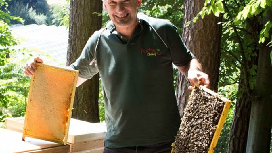Herr Fuchs bei seinen Bienen | © Fuchs