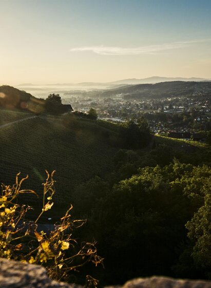 Blick von der Burg Deutschlandsberg | © Schilcherland Steiermark