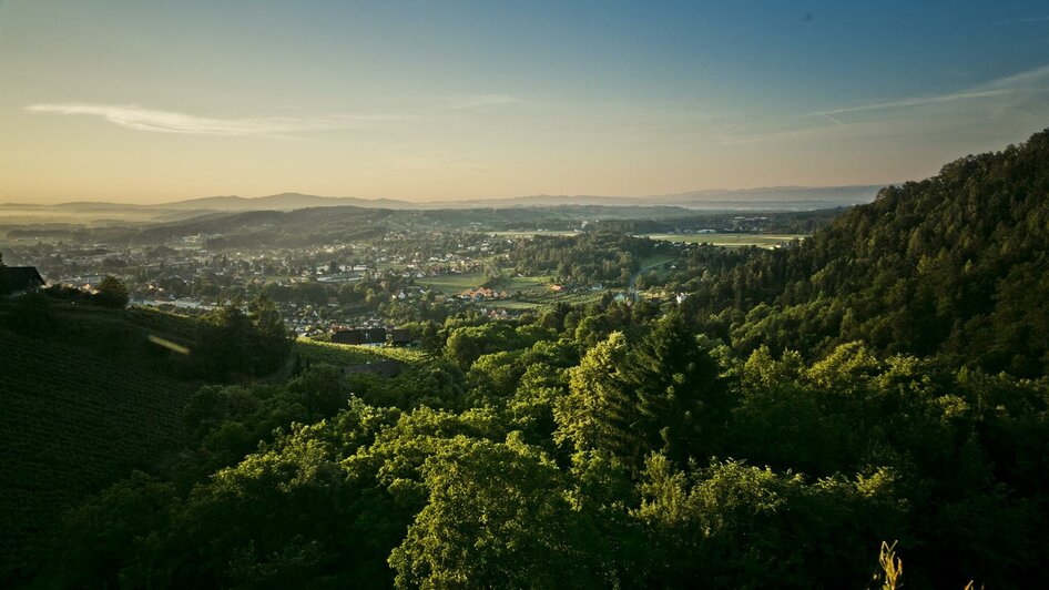 Innehalten & den Ausblick genießen | © Schilcherland Steiermark