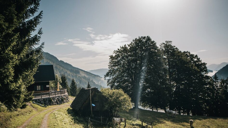Natrufreundehütte Palfau auf 1.020 m | © Stefan Leitner