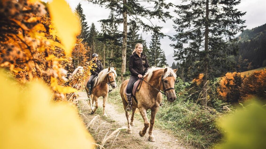 Reiten am Laussabauerhof | © Stefan Leitner