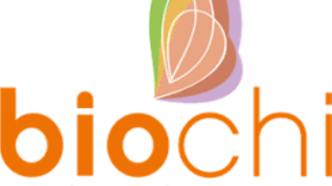 Ein Logo der Biochi Akademie. Es zeigt stilisierte Blätter in sanften Farben.