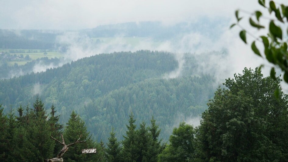 Bogenparcours umgeben von Wiesen und Wälder | © Bogenparcours Siebernegg