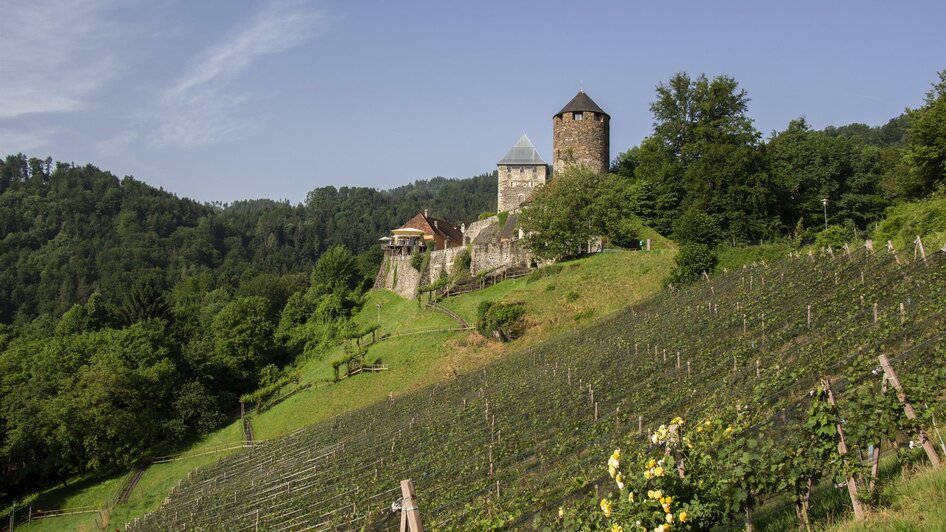 Burg mit Weingarten | © Burgmuseum Deutschlandsberg
