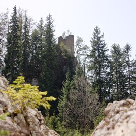 Burgruine Ehrenfels | © Marktgemeinde Kammern