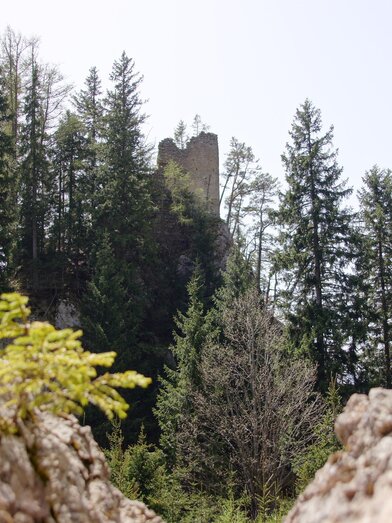 Burgruine Ehrenfels | © Marktgemeinde Kammern