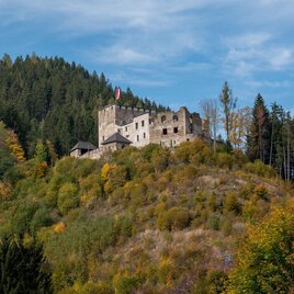 wandern-lichtenegg-herbst©schrotthofer-548 | © TV SWV