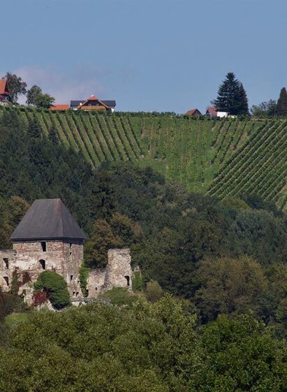 © Rainer M. Fürstaller