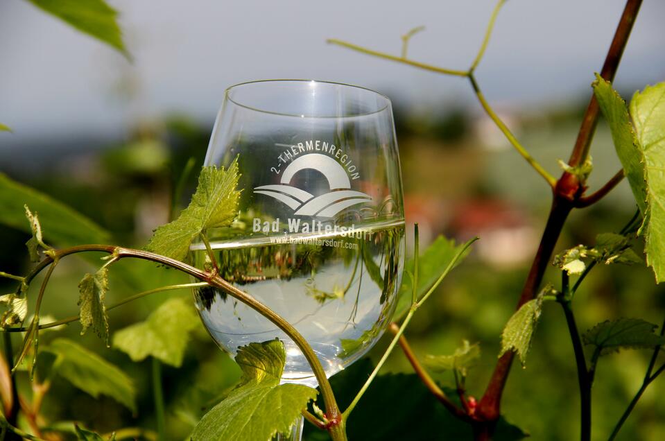 Weinglas | © Thermen- und Vulkanland