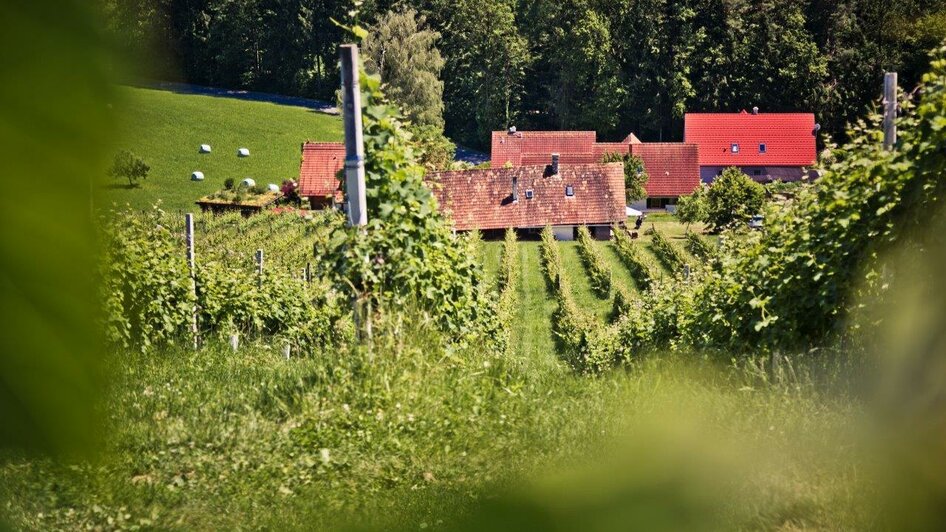 Romantische Weinberge am Hochgrail | © Schilcherland Steiermark