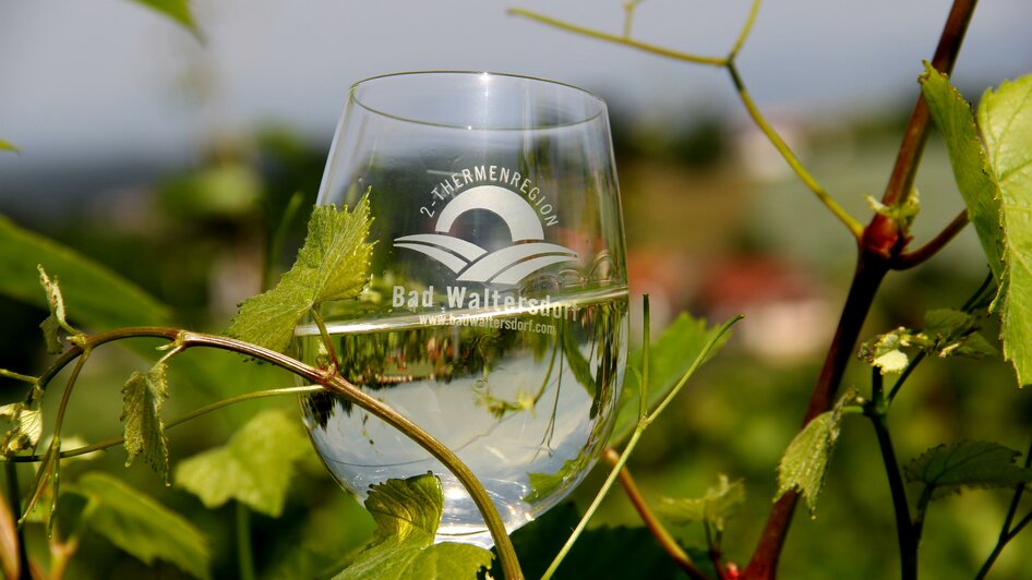 Weinglas | © Thermen- und Vulkanland