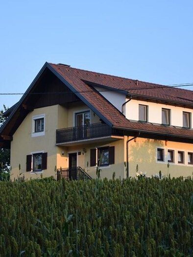 Buschenschank Riedl | © Weinbau Riedl