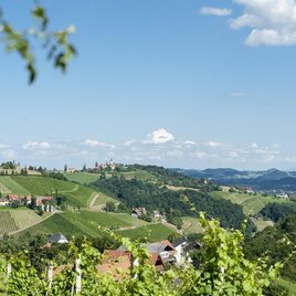 Lage mittem im Weinberg | © Karin Bergmann