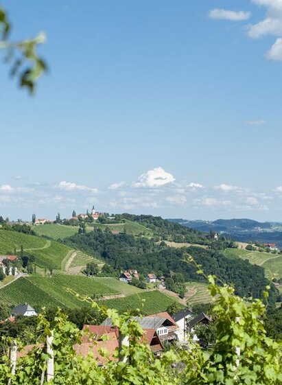 Lage mittem im Weinberg | © Karin Bergmann