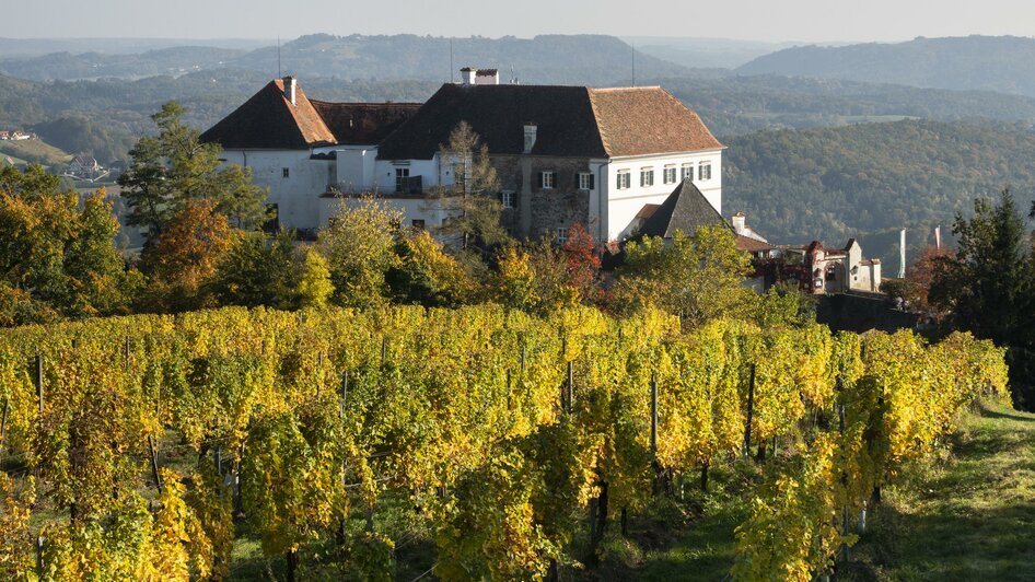 Schloss Kapfenstein umgeben von Weingärten | © Schlösserstraße, Franz Suppan