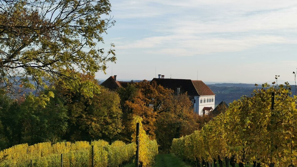 Blick durch die Weingärten auf Schloss Kapfenstein | © Spiritour.at, Gabriele Grandl