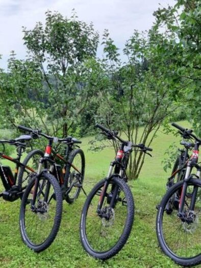 E-Bikes | © Radverleih Kollerwirt