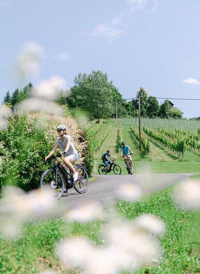 eBIKES & biken | © eBIKES & biken