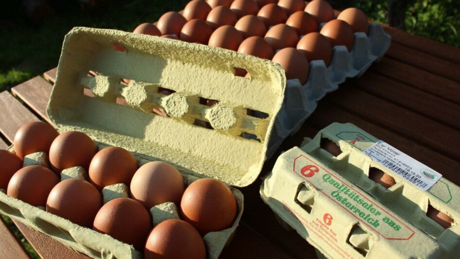 Eier | © Eier und Kürbiskernöl Moser