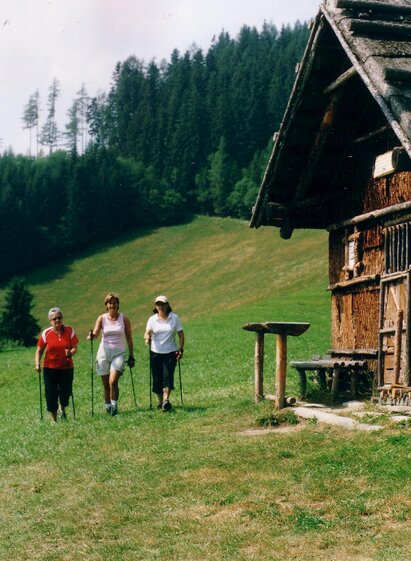 Nordic Walking Pierergut