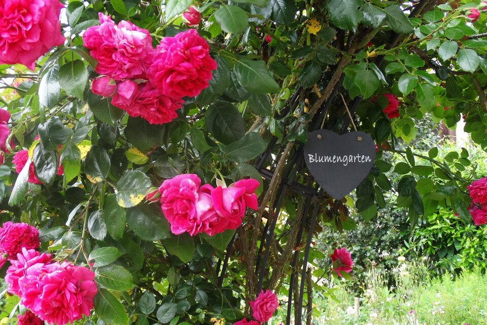 Erni´s Gartenvielfalt in Jagerberg - Impression #1 | © Ernestine Wagist