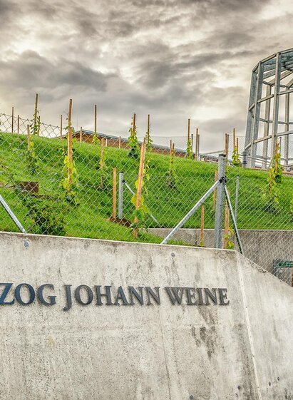 Erzherzog Johann Weine in Ehrenhausen | © Erzherzog Johann Weine