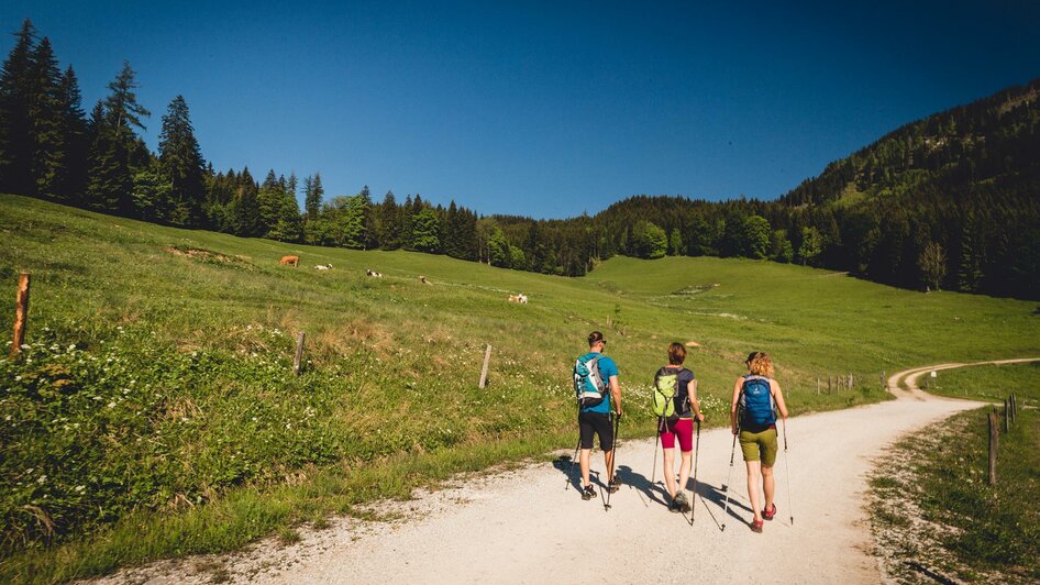 Wandern auf die Falkensteinalm | © Naturpark Mürzer Oberland
