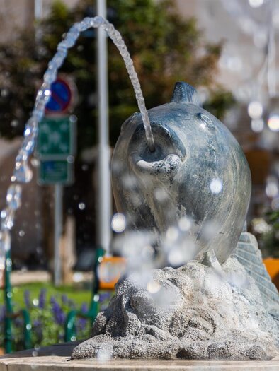 Fisch-Brunnen | © Stadtgemeinde Feldbach