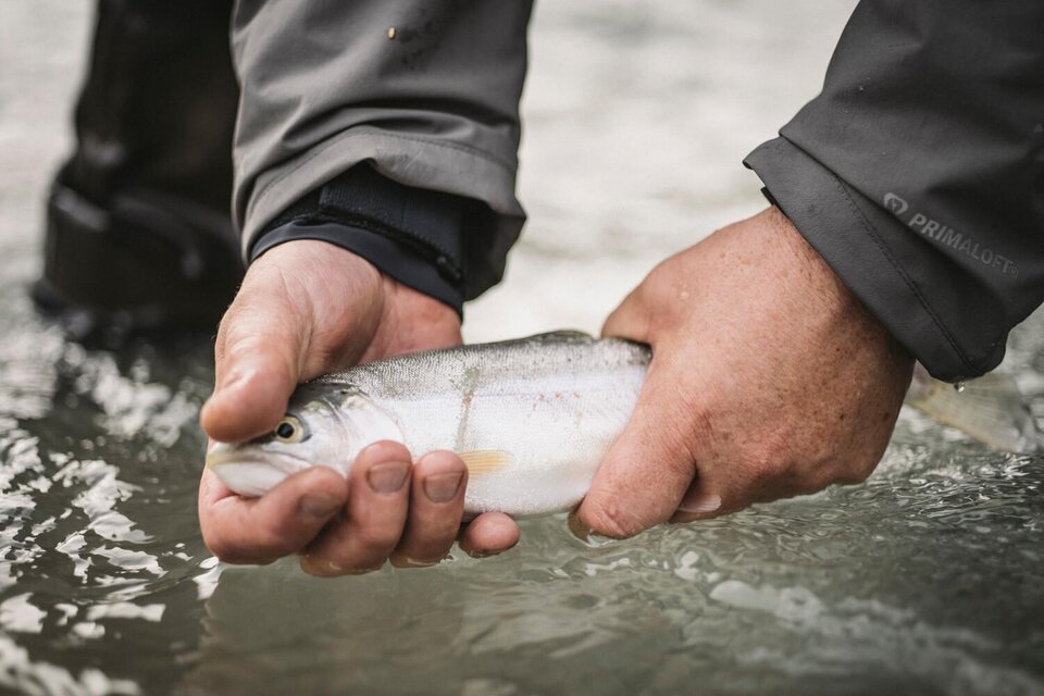 Liezen & Surrounding Area Fishing Association - Impression #1 | © Stefan Leitner