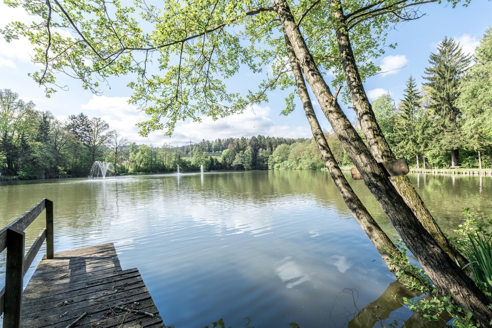 Fischerparadies Grafenteich - Fischerverein Preschan - Impression #1 | © Die Abbilderei