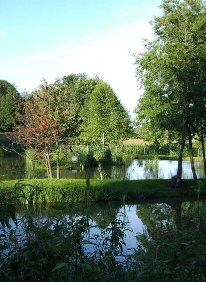 Fischteich