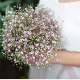 Blumen Foller | © Foller