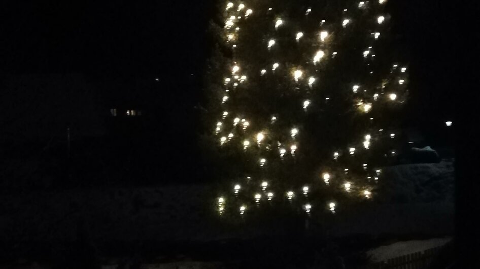 Weihnachtsbaum von Predlitz
